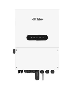 Dyness 6.0L-1P-A 6кВт 48В однофазный низковольтный чистая синусоида Инвертор