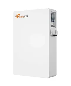 FelicityESS LUX-E-48100LG04 48В 100А•ч 60А Литиевая аккумуляторная батарея