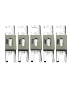 Victron Energy ANL-fuse 300A/80V (5 pc) Предохранитель