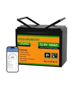 Eco-Worthy LiFePO4 12V 100Ah bluetooth Аккумуляторная батарея