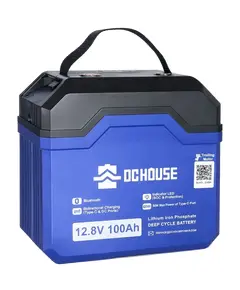 DСHOUSE 12.8V 100Ah (ECO-LFP1210004) Bluetooth Аккумуляторная батарея