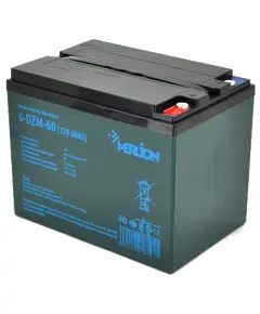 AGM MERLION 6-DZM-60 12V 60Ah Аккумуляторная батарея тяговая