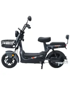 Maxxter E1000 (Gray) Електроскутер