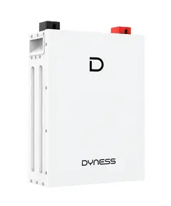 Dyness DL5.0F 51.2V 100AH Литиевая аккумуляторная батарея