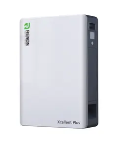 Renon Xcellent Plus 51.2В 314А•г Літієва акумуляторна батарея