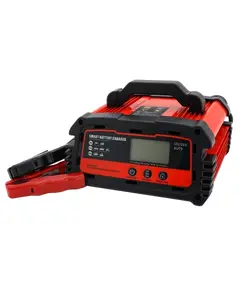 DEMUDA 12V/24V (WET,AGM,GEL) Автоматичний ЗП для акумулятора